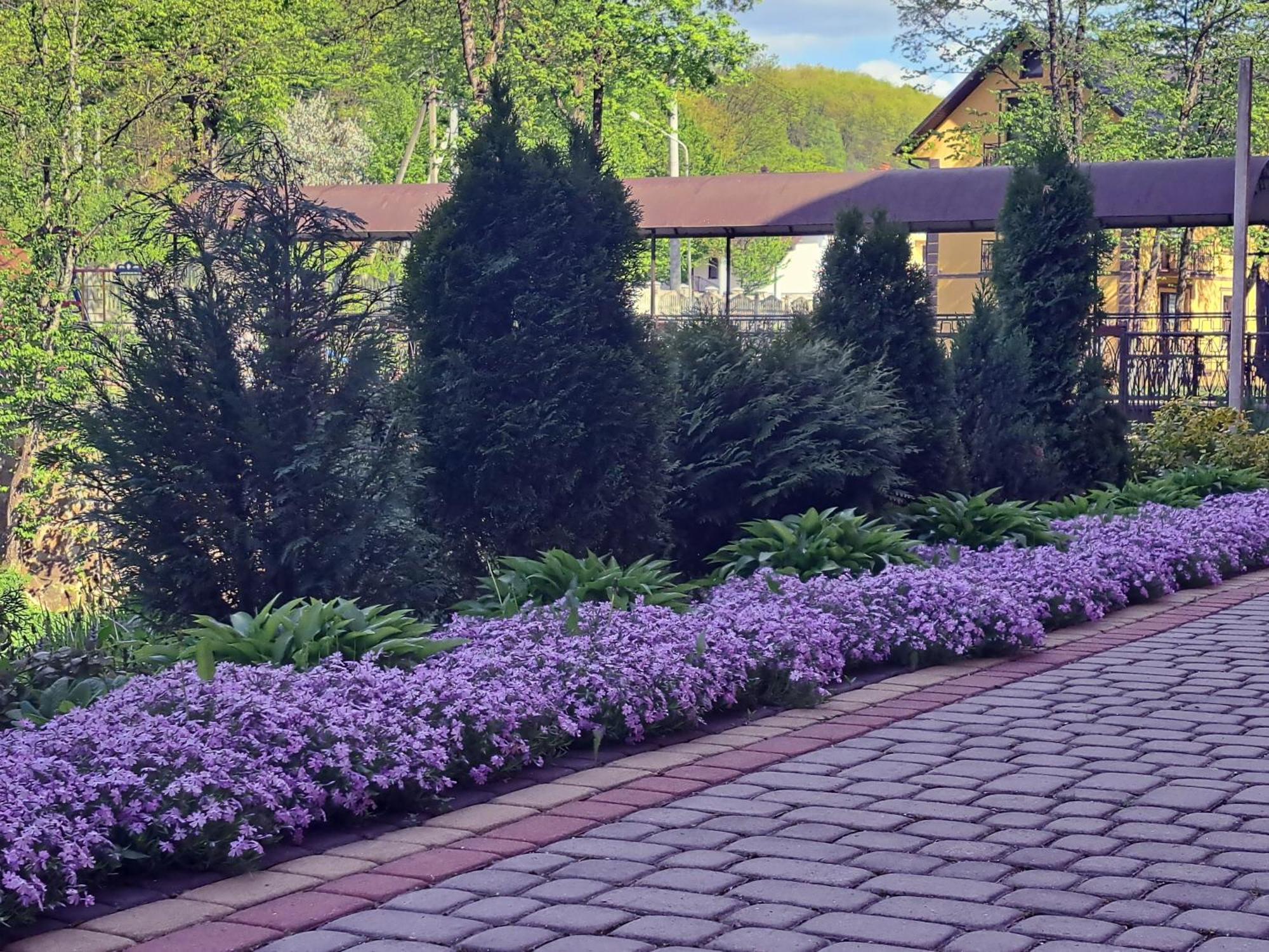 Сонячна Соната Hotel Polyana  Exterior foto